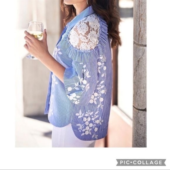 Hilary Radley Blue Striped Button Down with embroidered floral, lace , ruffles - Picture 4 of 10
